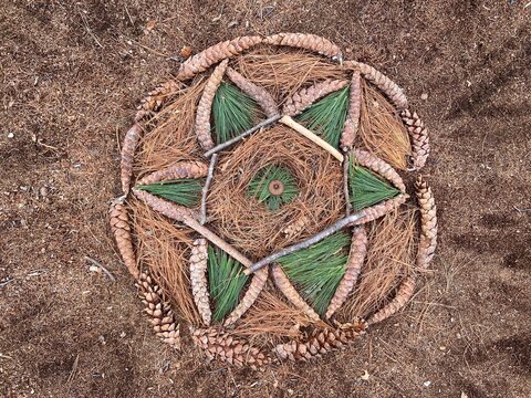Natural mandala in the forest made from nature elements. Outdoor art