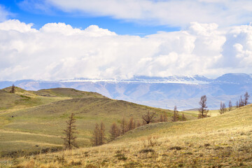 Kurai steppe in the Altai Mountains. Hillsides in spring against the backdrop of mountains under white clouds. Pure Nature of Siberia, Russia