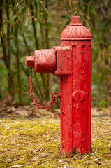 Fototapeta na wymiar Red fire hydrant in closeup in the park. Peeling paint and grass around. Japanese model.