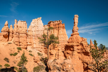 Sandstone spires and arches in Bryce Canyon National Park, Utah