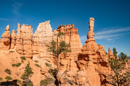 Sandstone spires and arches in Bryce Canyon National Park, Utah