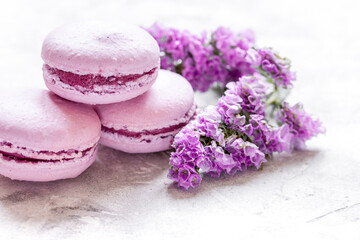spring design in pastel color with macaroons and purple flowers