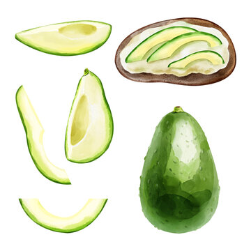 Watercolor set with avocado slices, whole fruit and guacomole isolated on white background. Hand drawn illustration
