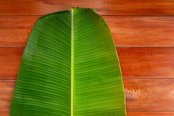 Banana leaf