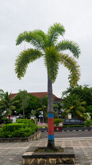 Fototapeta premium A photo of the atmosphere in the town square of KEBUMEN in the afternoon which looks deserted
