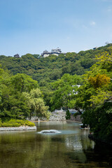 Fototapeta premium 松山城の城山公園