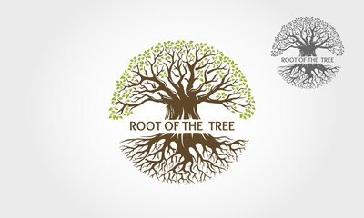 Root Of The Tree Vector Logo Template. This logo depicts a tree whose roots and branches are connected to form one unit. This concept can be used for recycling, environmental associations, landscape. 