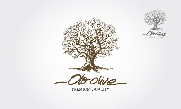 Old Olive Tree Vector Logo Template. This logo depicts a tree whose roots and branches are connected to form one unit. This concept can be used for recycling, environmental associations, landscape. 