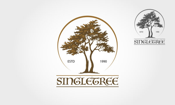 Single Tree Vector Logo Template. This logo depicts two trees whose roots and branches are connected to form one unit. This concept can be used for recycling, environmental associations, landscape.