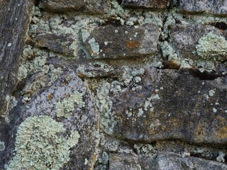 mossy rock wall