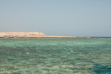 Fototapeta premium Coral reef in blue water of Red Sea