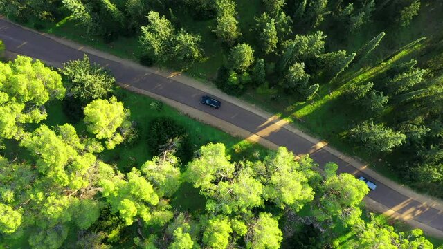 Aerial Lockdown Shot Of Vehicles Moving On Road Amidst Trees, Drone Flying Over Ben Shemen Forest