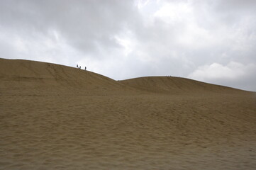 雨上がりの砂丘１