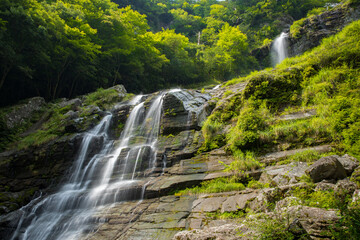 程野の滝　東滝（高知県いの町）