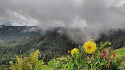 El Castillo, Valle del Cauca Colombia