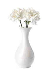 Vase with beautiful carnation flowers on white background