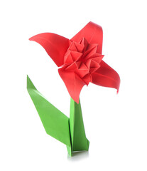 Origami narcissus on white background