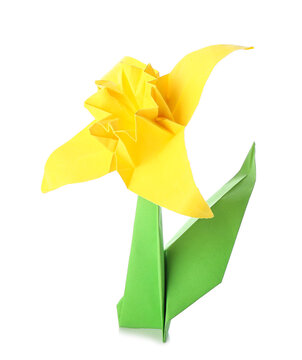 Origami narcissus on white background