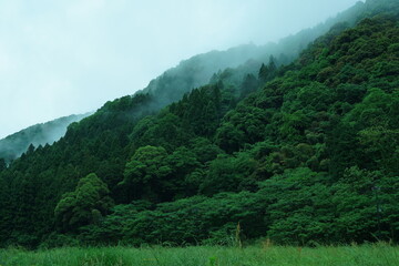 山の蒸気