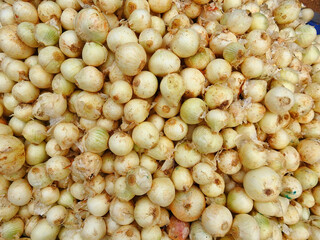white onion stored in market