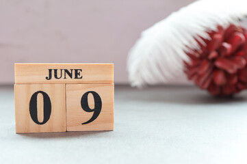 Day 9 of June month. Wooden calendar with date. Empty space for text.