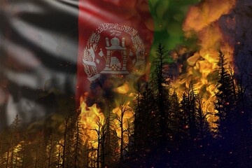 Forest fire natural disaster concept - flaming fire in the woods on Afghanistan flag background - 3D illustration of nature