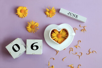 Calendar for June 6: the name of the month of June in English, cubes with the numbers 0 and 6, a cup of tea with a chamomile in it, yellow chamomile flowers with petals on a pastel background