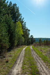 Country road in a forest with white plane in the clean blue sky