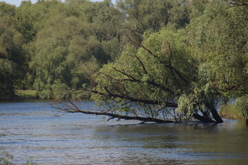 Mezinsky National Nature Park, Ukraine