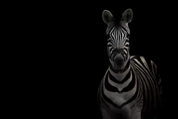Tuinposter Zebra © Marek
