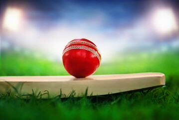 cricket leather ball resting on bat on the stadium pitch bright stadium lights projecting on red...