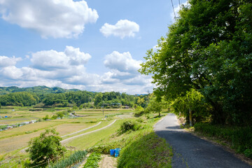 田舎の畑と道路　初夏の空　コピースペース