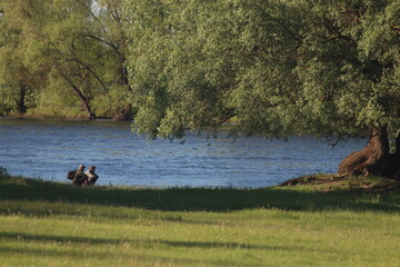 Mezinsky National Nature Park, Ukraine