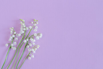 Obraz premium Beautiful lilies of the valley flowers on a pastel violet background.