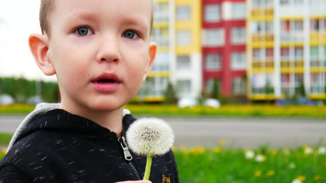 Close-up of a little boy blowing on a dandalion in his hand outdoors