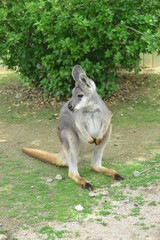 어린이대공원 동물원