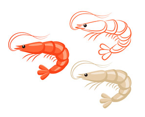 Prawn or shrimp set, seafood and marine cuisine vector icon