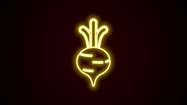 Glowing Neon Line Fresh Beet With Leaf Icon Isolated On Black Background. Natural Root. Vegetable Ingredient For Food. 4K Video Motion Graphic Animation