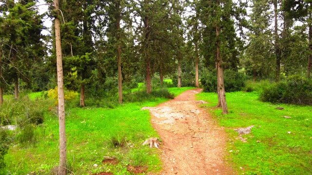 Aerial: Drone Backward Shot Of Empty Walkway By Grass And Trees In Ben Shemen Forest