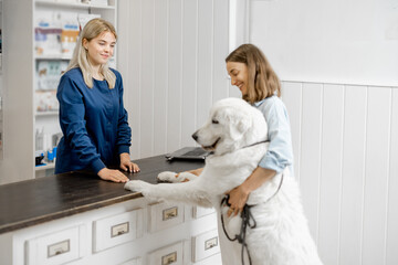 Female owner with big white dog on reception in veterinary clinic and talking with assistant. Dog...