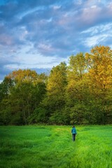 Drzewa na polach a w tle kolorowe rozświetlone słońcem chmury