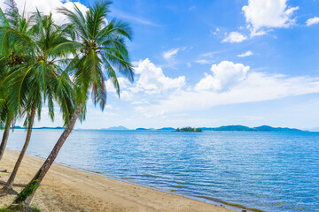 Coconut trees on the beach