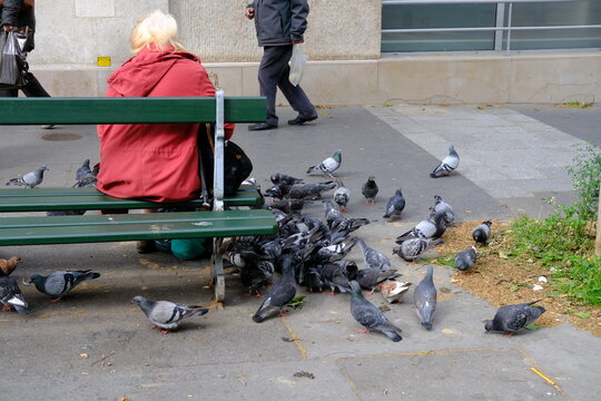 A woman feeding pigeons, sitting on a Parisian bench. May 2021.
