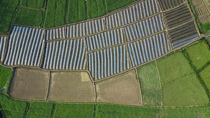 Top view aerial photo from flying drone of landscape with farmland Chiang Mai, Thailand