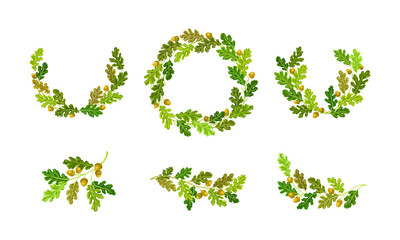 Oak Branches with Green Leaves and Acorns Arranged in Wreath and Semi Circle Vector Set