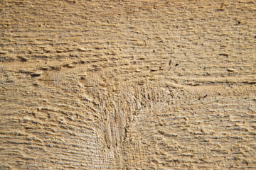 slice of dry wood as background