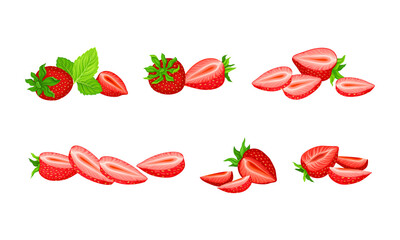 Garden Strawberry with Mature Red Fruit Vector Set