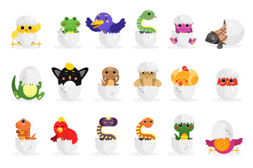 Cute Bird and Reptile Hatching from Egg Vector Set