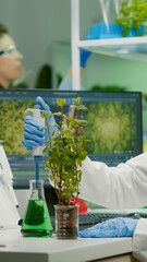 Biologist scientist talking solution from medical flask putting on green sapling for genetic experiment. womanresearcher in white coat working in professional microbiology laboratory