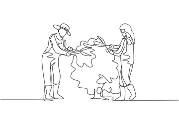 Continuous one line drawing young couple farmer cut the leaves on the tree using plant scissors together. Farming challenge minimalist concept. Single line draw design vector graphic illustration.